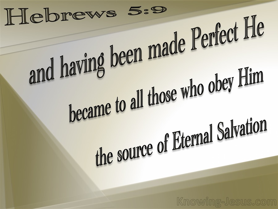 Hebrews 5:9  Christ The Source Of Eternal Salvation (beige)